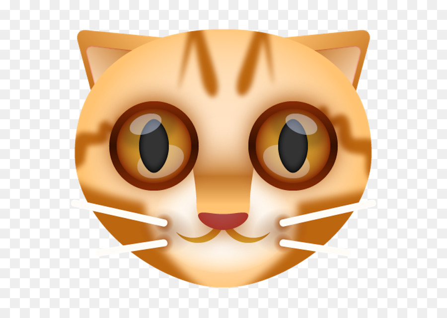 Cara De Gato，Gatinho PNG