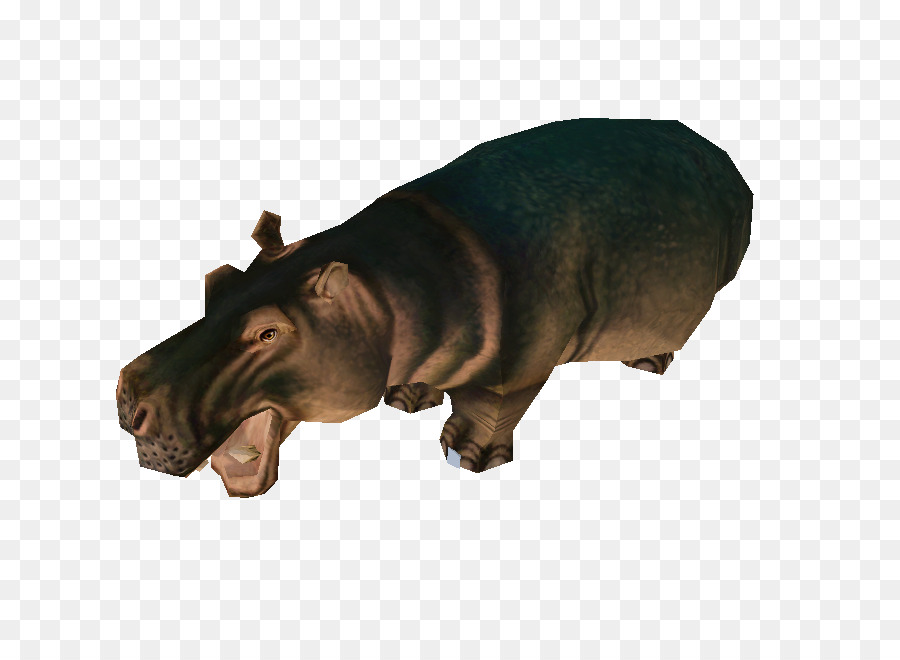 Hipopótamo，Focinho PNG