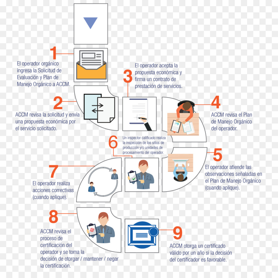 Organização，Sistema De Gestão Da Qualidade PNG