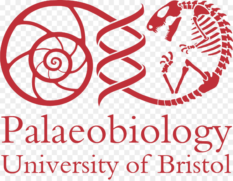 Universidade De Bristol，Escola De Ciências Da Terra PNG