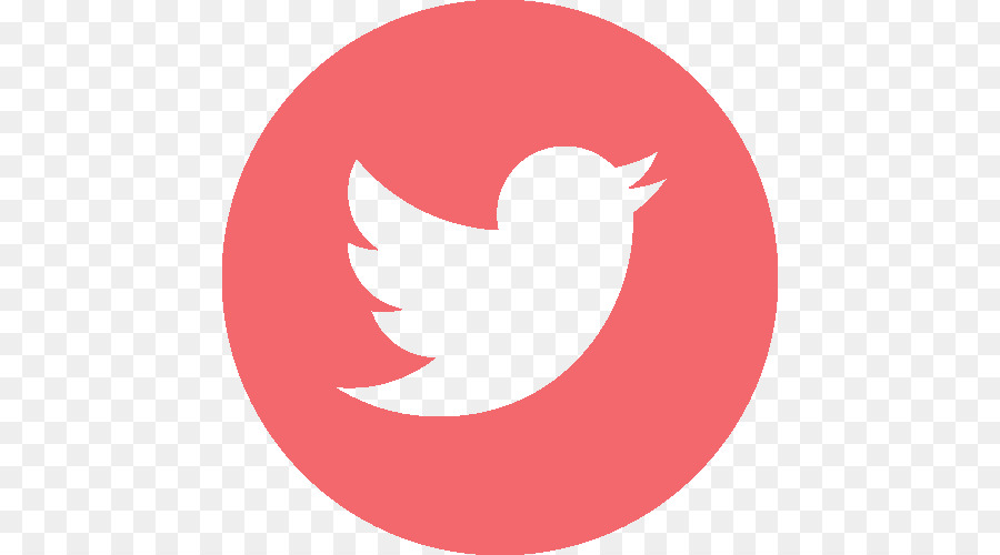 Logotipo Do Twitter，Pássaro PNG