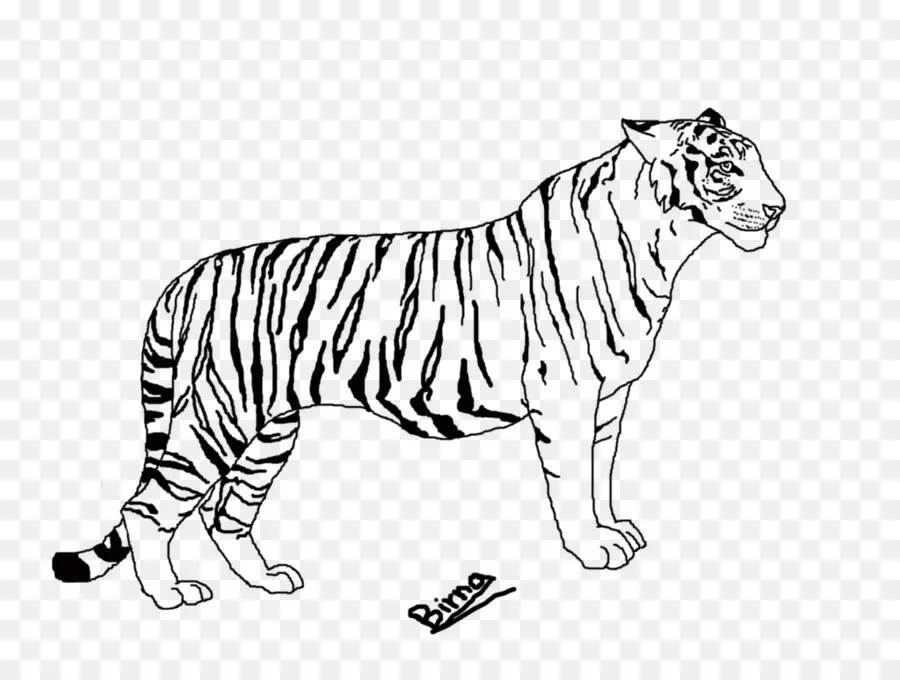 Tigre，Listras PNG