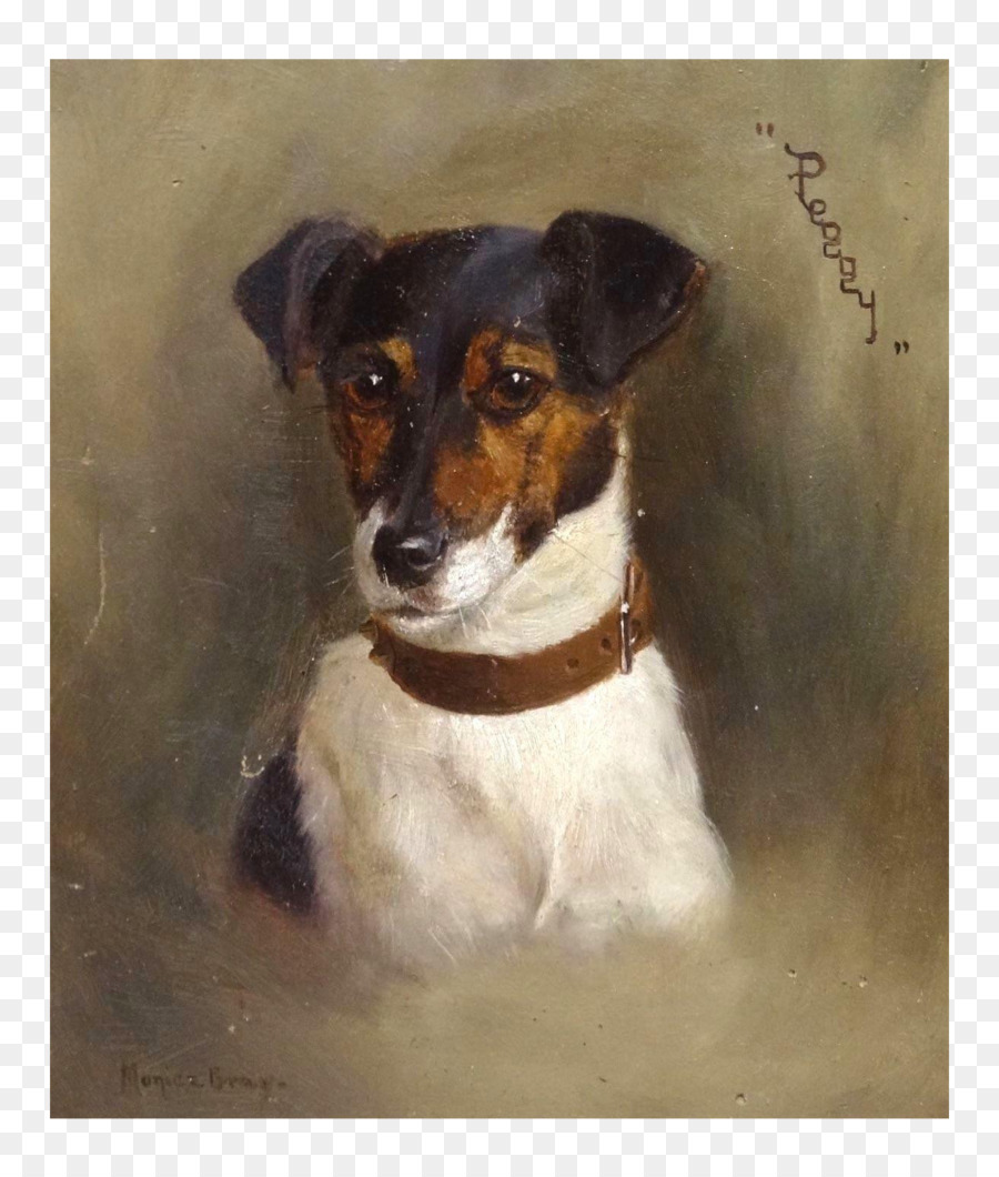 Jack Russell Terrier，Fox Terrier Miniatura PNG