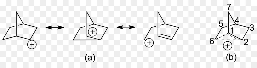 2norbornyl Cação，Carbocation PNG