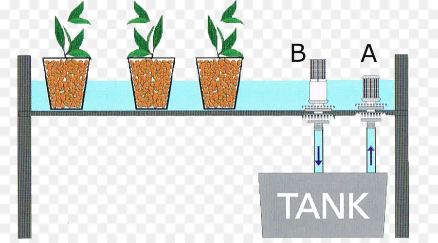 A Hidroponia，Fluxo E Refluxo PNG