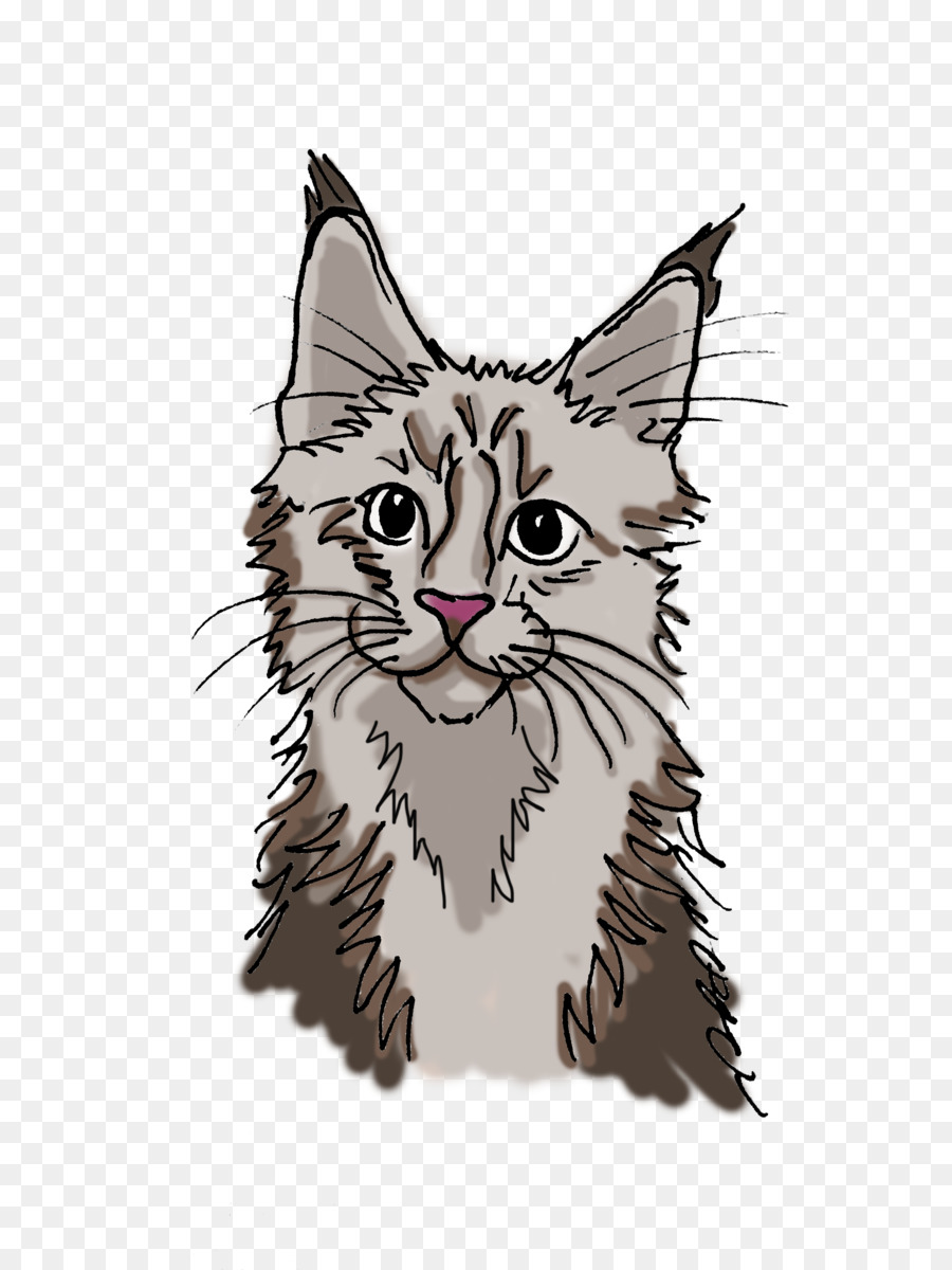 Bigodes，Maine Coon PNG