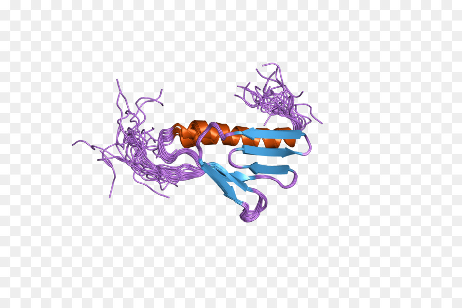 Estrutura Proteica，Molécula PNG