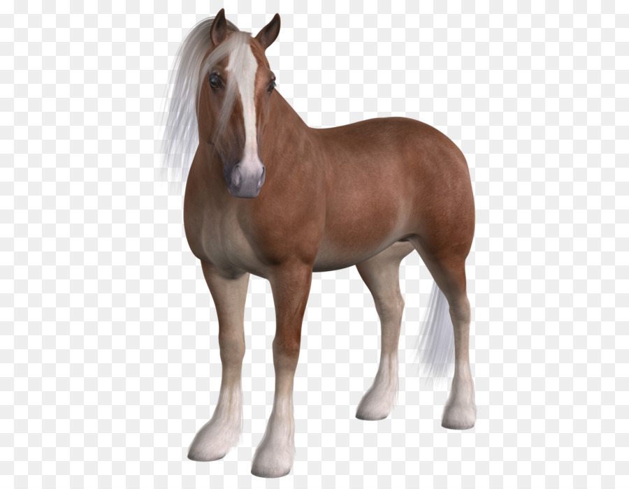 Mare，Potro PNG