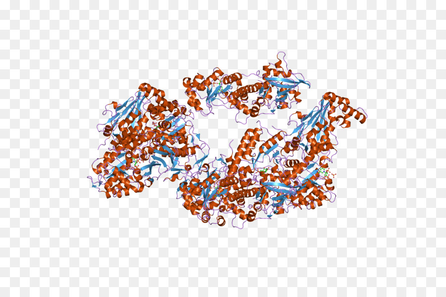 Nicotinamida Phosphoribosyltransferase，Arte PNG