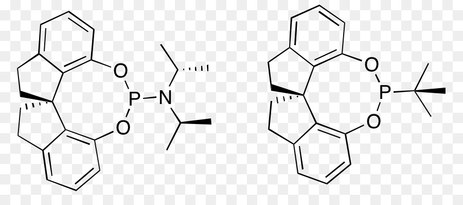 Hidrogenação Assimétrica，Noyori Hidrogenação Assimétrica PNG