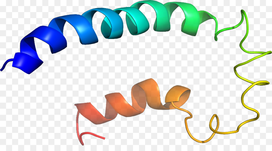 Hélice De Proteína，Molécula PNG