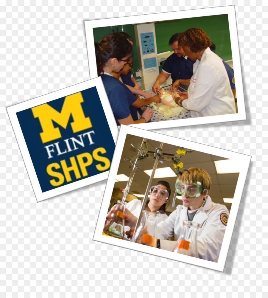 Universidade De Michiganflint，Universidade De Michigan PNG