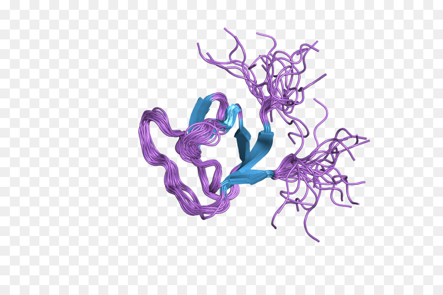 Neutrófilos Cytosolic O Fator 2，Citosol PNG