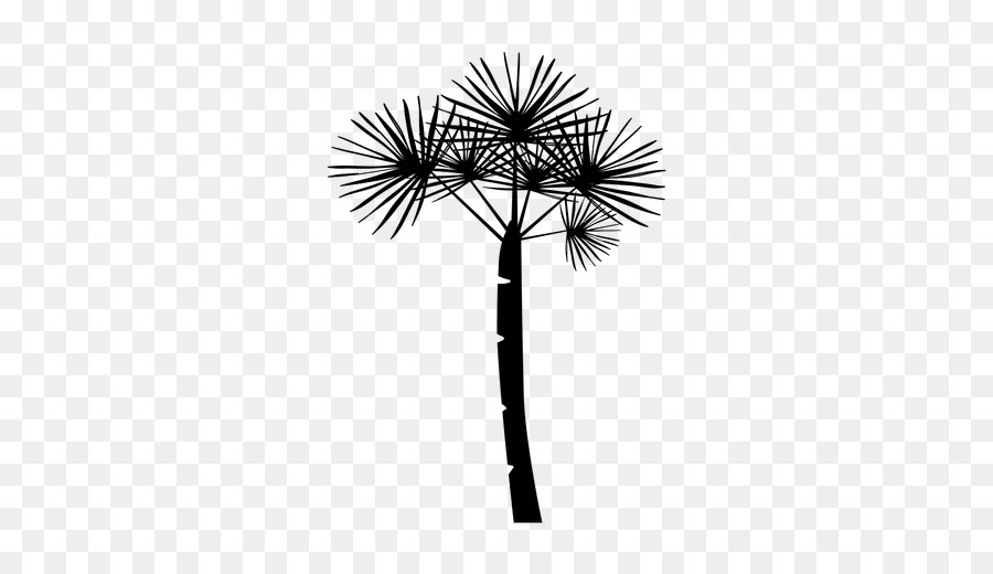 Silhueta，Arecaceae PNG