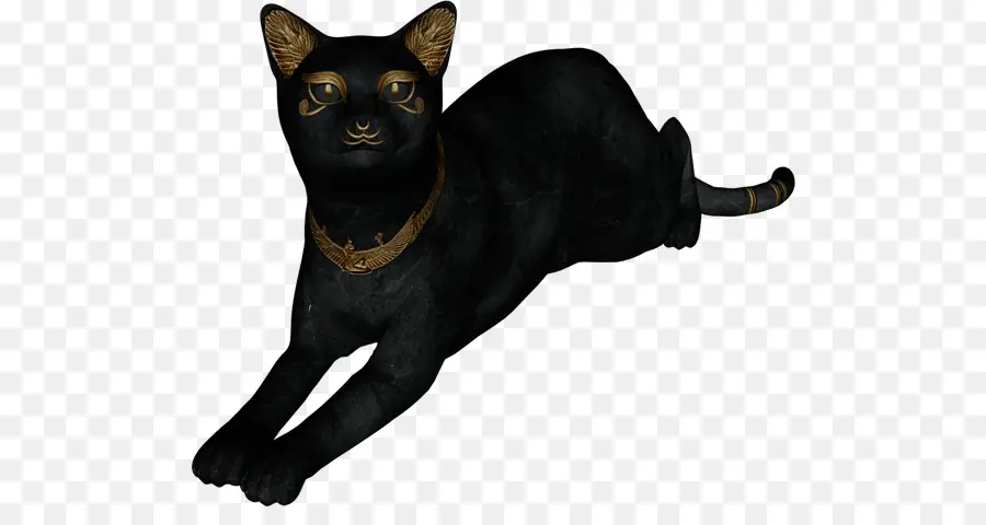 Gato Preto，Gato PNG