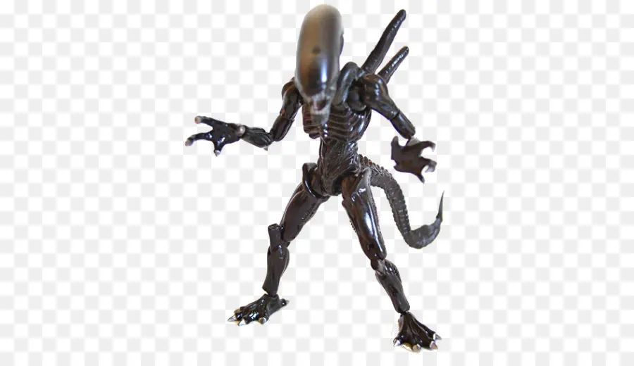 Xenomorfo，Estrangeiro PNG