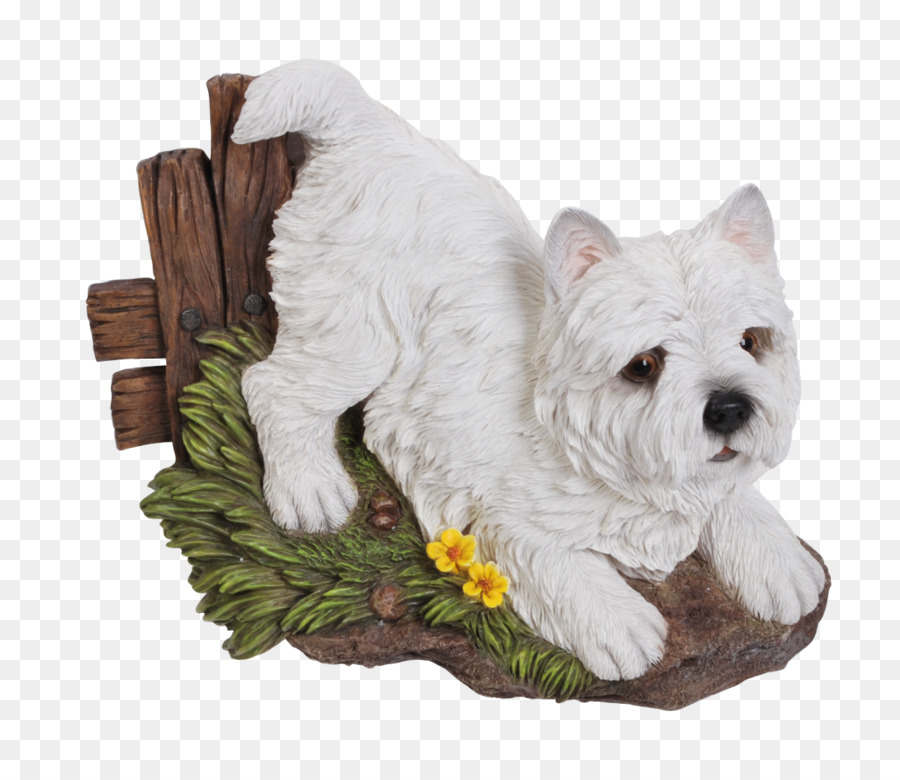 West Highland White Terrier，Yorkshire Terrier PNG