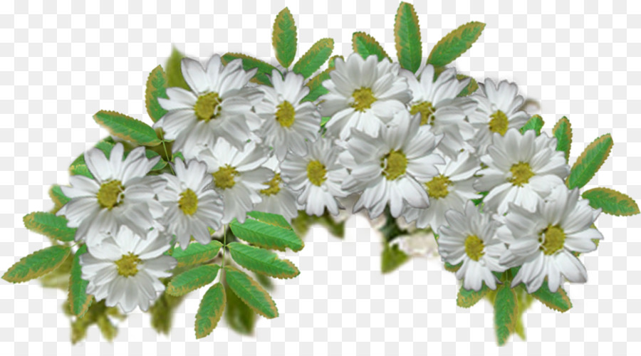 Flores Brancas，Folhas Verdes PNG