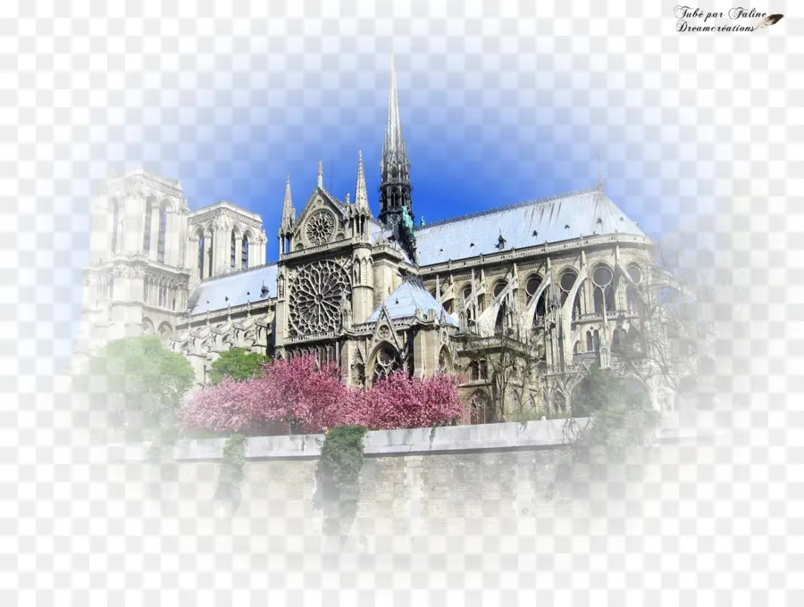 Notre Dame，Catedral PNG