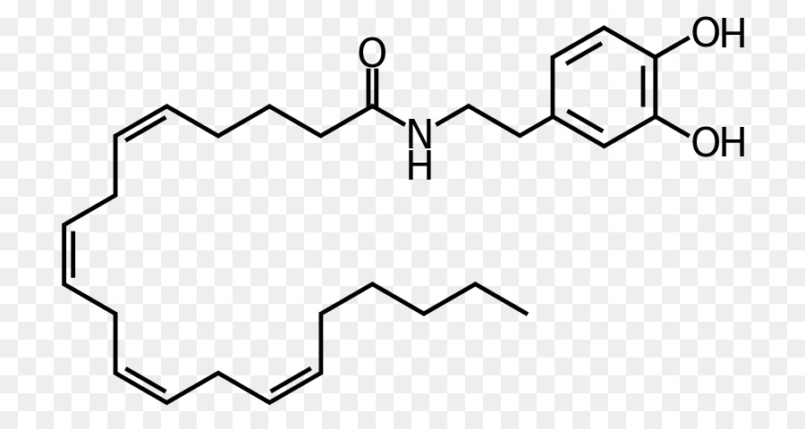 Estrutura Química，Molécula PNG