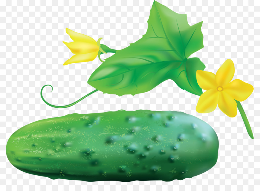 Pepino Pepino Em Conserva Mel O Png Transparente Gr Tis