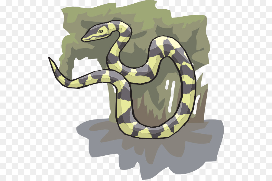 Cobra，Jibóia PNG