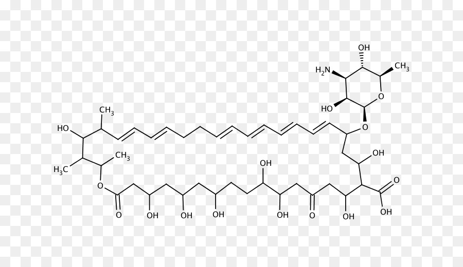 Estrutura Química，Molécula PNG