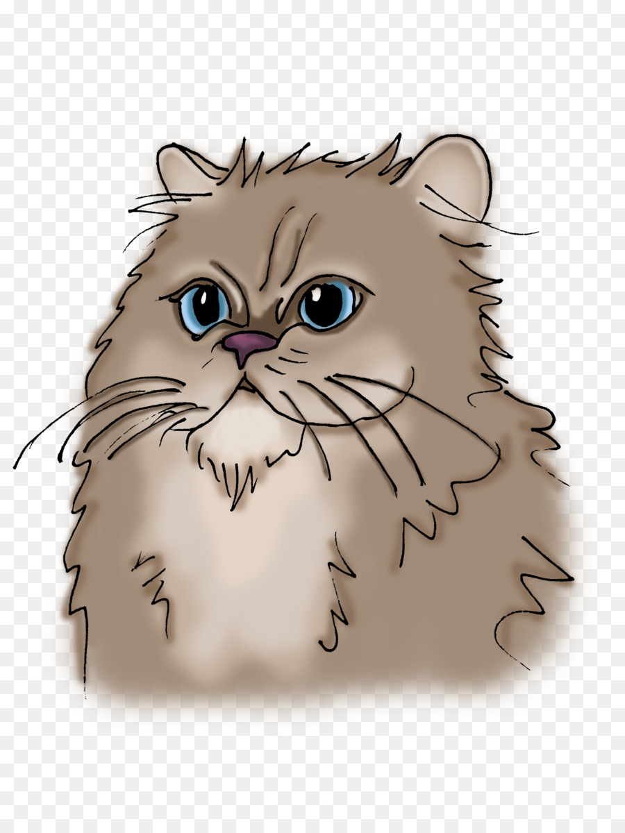 Gato Triste，Gato PNG