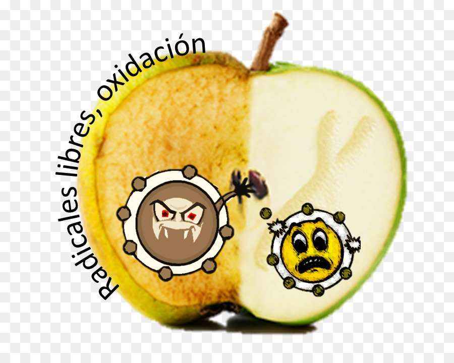 Apple，Cozinha Vegetariana PNG