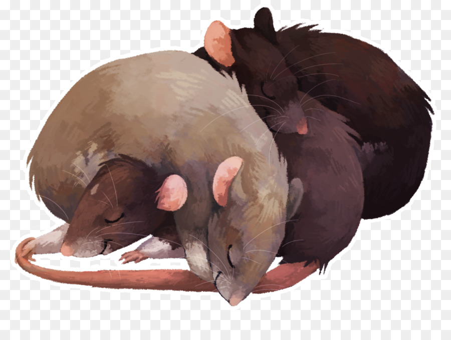 Rat，Arte PNG