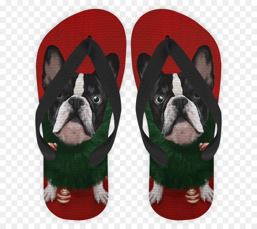 Boston Terrier，Raça Do Cão PNG