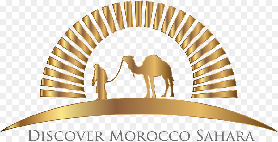 Descubra O Logotipo Do Marrocos Saara，Camelo PNG