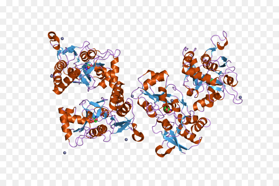 Estrutura Proteica，Molécula PNG