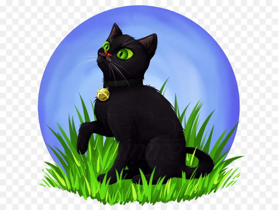 Gato Preto，Animal PNG