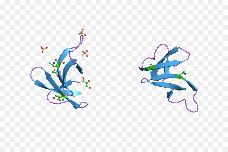 Defa1，Alpha Defensin PNG