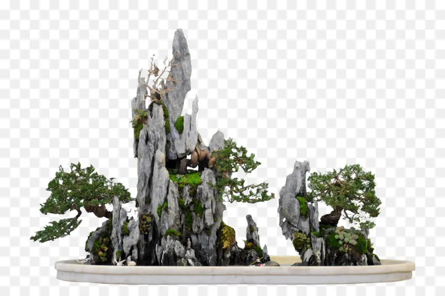 Paisagem Bonsai，Bonsai PNG