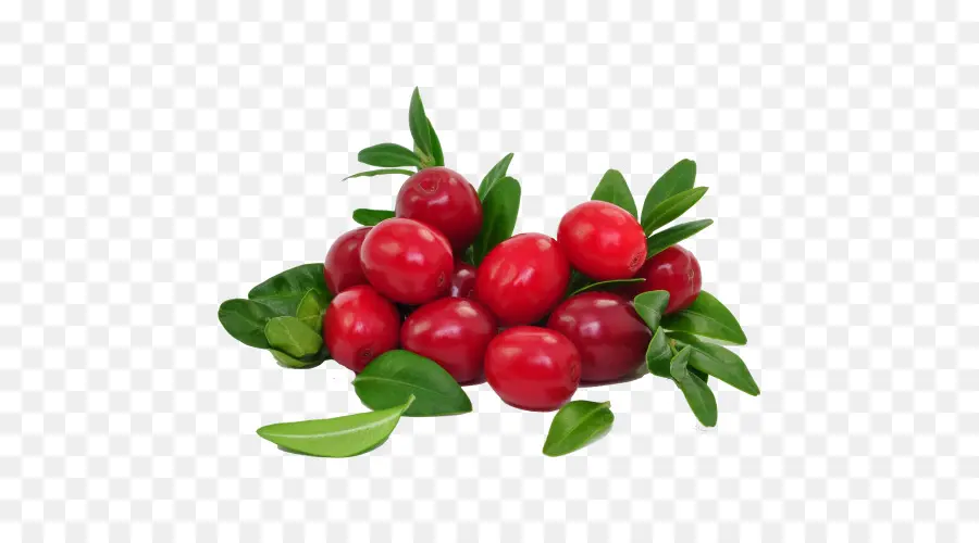 Cranberries，Fruta PNG