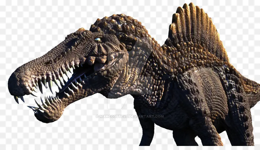 Spinosaurus，Dinossauro PNG