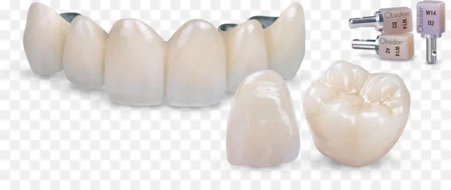 Coroas Dentárias，Dentes PNG