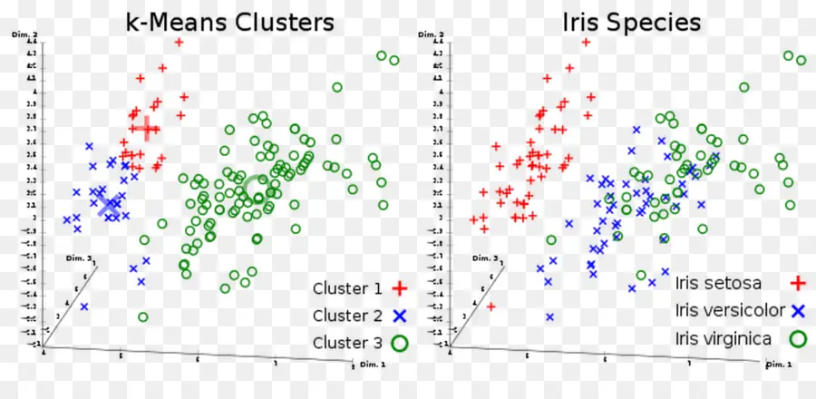 Clusters K Médias，Espécies De íris PNG