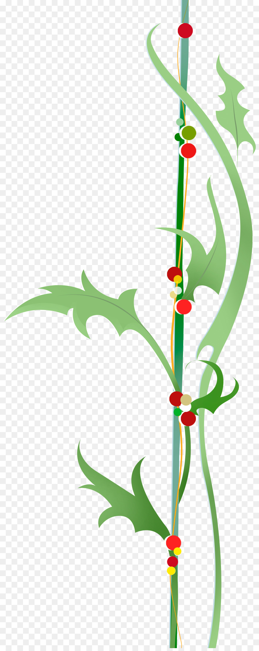 Vinheta，Berry PNG