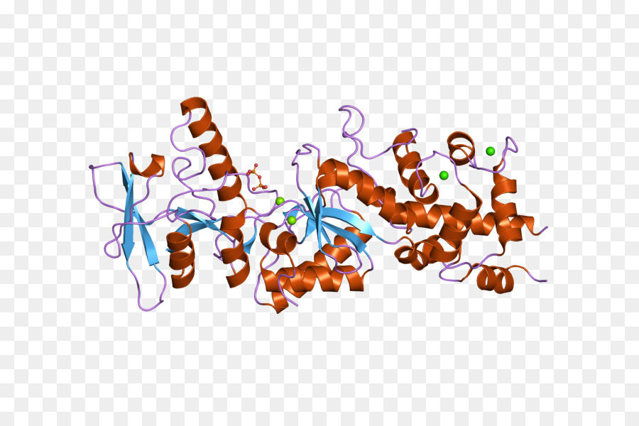 Estrutura Proteica，Molécula PNG