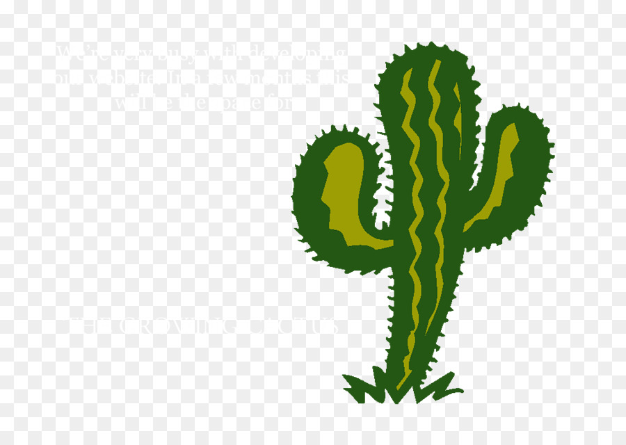 Cactaceae，Aztekium Ritteri PNG