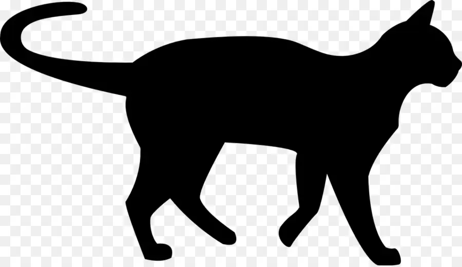 Silhueta De Gato Preto，Felino PNG