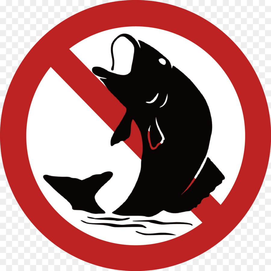 Pesca，A Pesca Com Mosca PNG