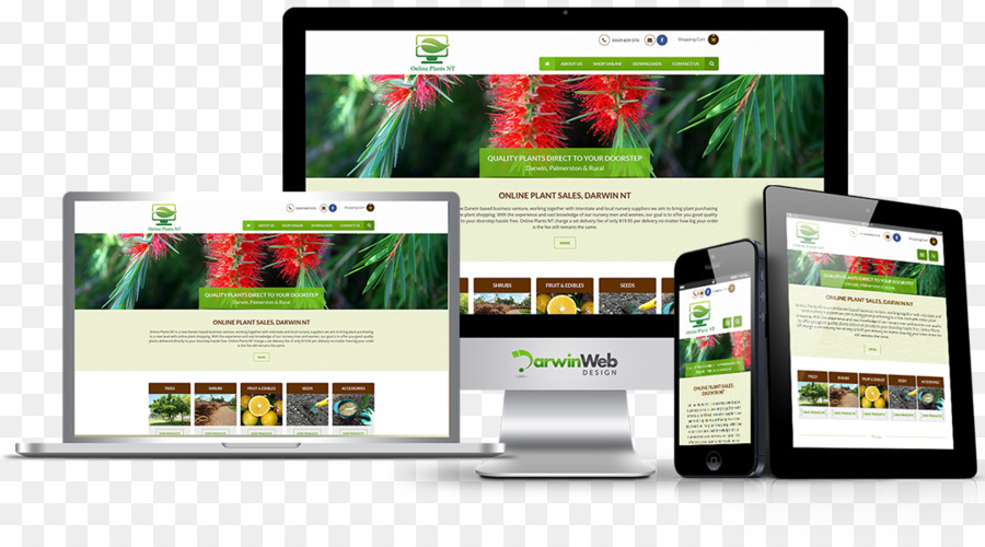 Responsive Web Design，Desenvolvimento Web PNG