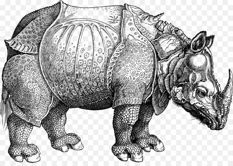 Rinoceronte Do Que Dürer é，Melencolia I PNG