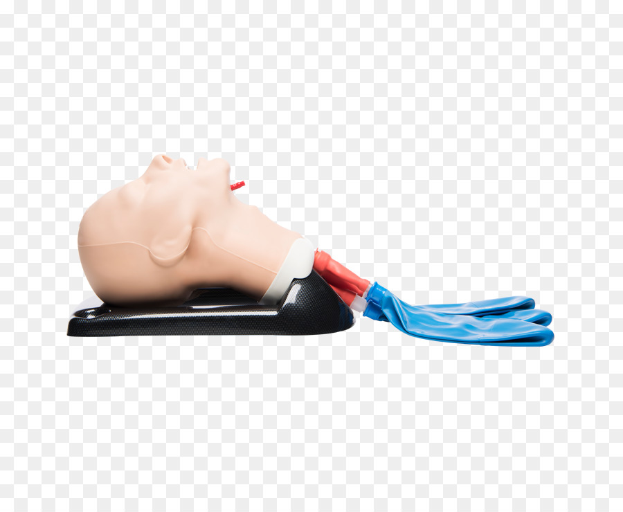 A Intubação Traqueal，Gestão Das Vias Respiratórias PNG