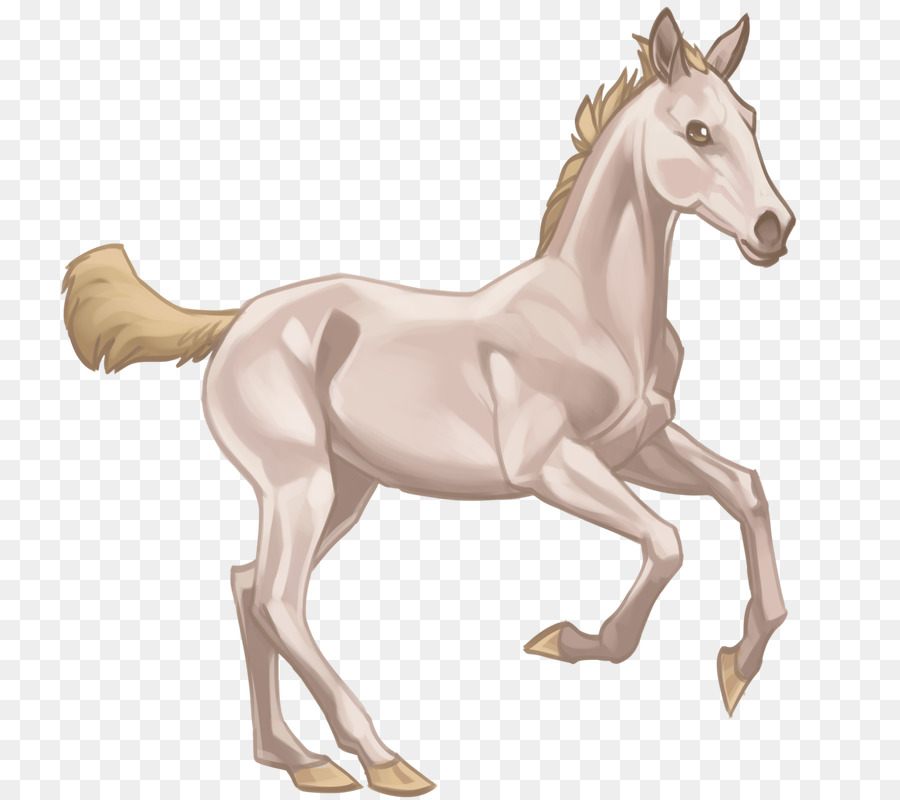 Cavalo De Desenho Animado，Pônei PNG