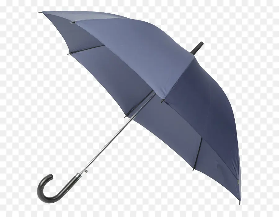 Guarda Chuva，Piganiol Parapluies PNG